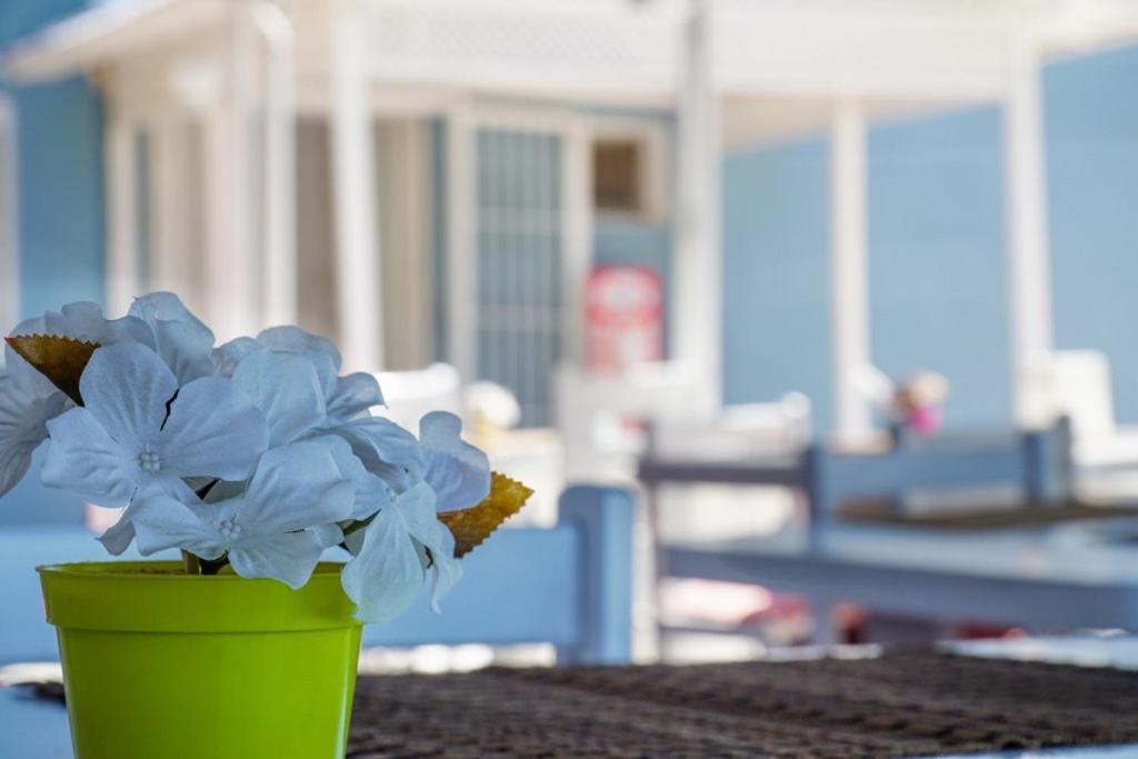 Cesme Minerva Port Hotel Екстериор снимка